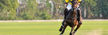 Degussa nimmt am Poloturnier Frankfurt Gold Cup 2018 teil