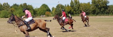 Impressionen vom Frankfurt Gold Cup Poloturnier