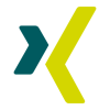 degussa-social-media-xing degussa-social-media-xing